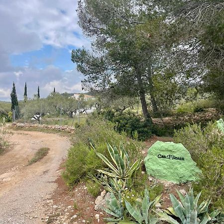 Paraiso Bell Tent Tortosa Eksteriør bilde