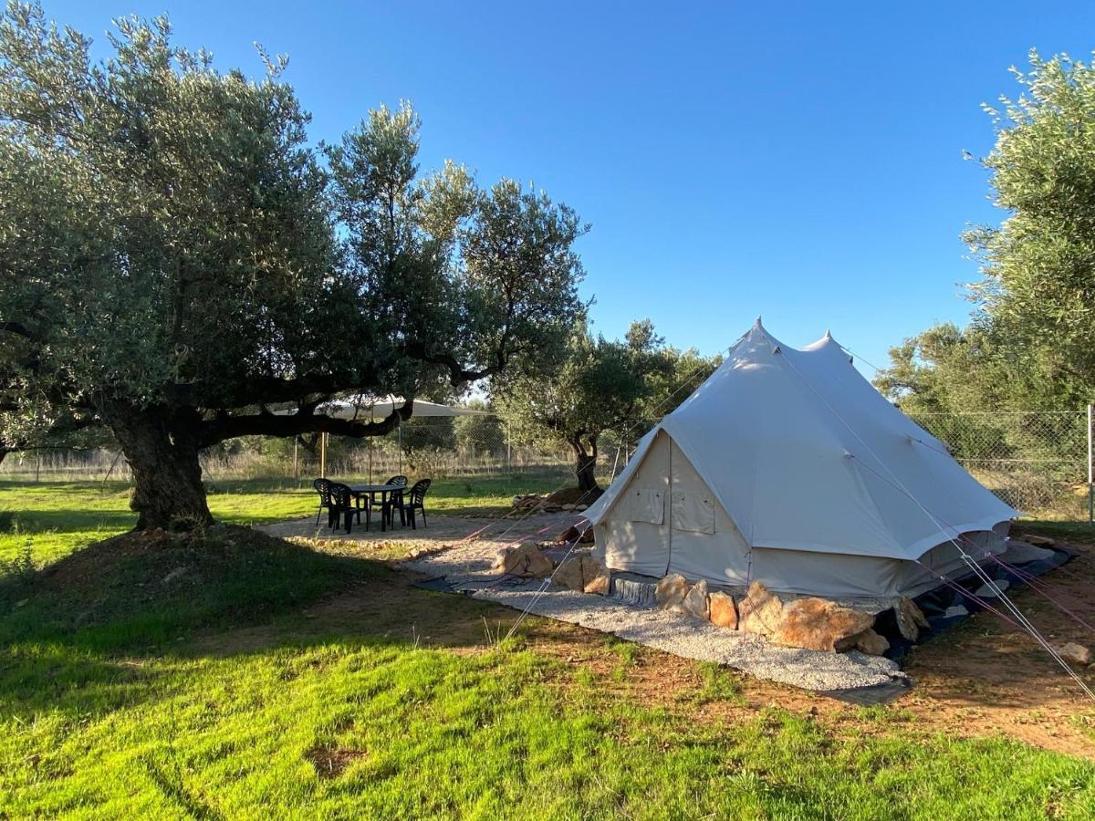 Paraiso Bell Tent Tortosa Eksteriør bilde