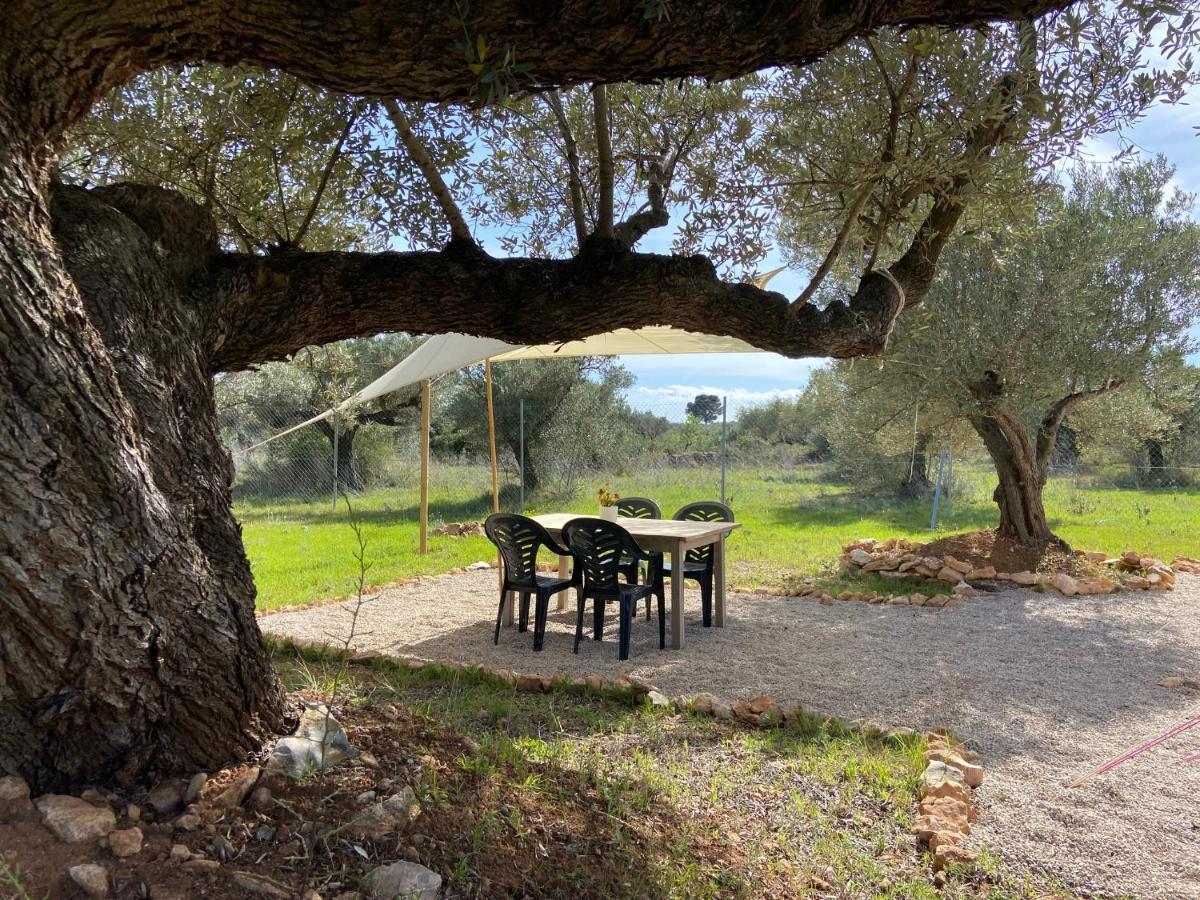 Paraiso Bell Tent Tortosa Eksteriør bilde