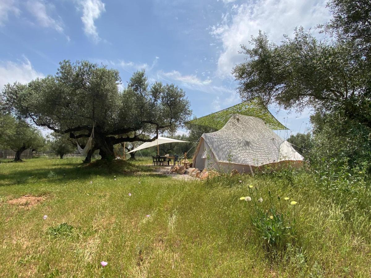Paraiso Bell Tent Tortosa Eksteriør bilde